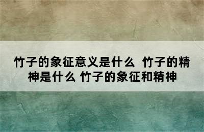 竹子的象征意义是什么  竹子的精神是什么 竹子的象征和精神